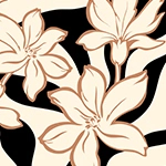 Kimono Allegra Kimono resmi